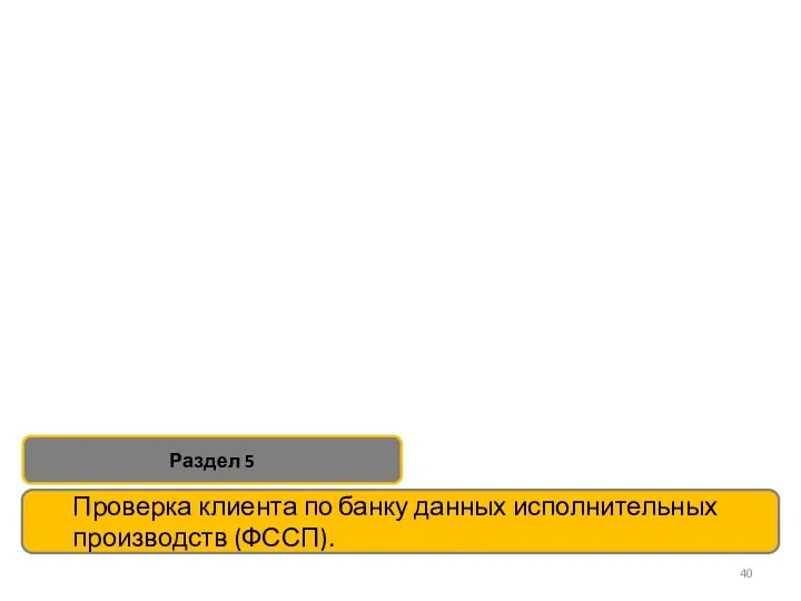 Проверка клиента по банку данных исполнительных производств (ФССП). Раздел 5