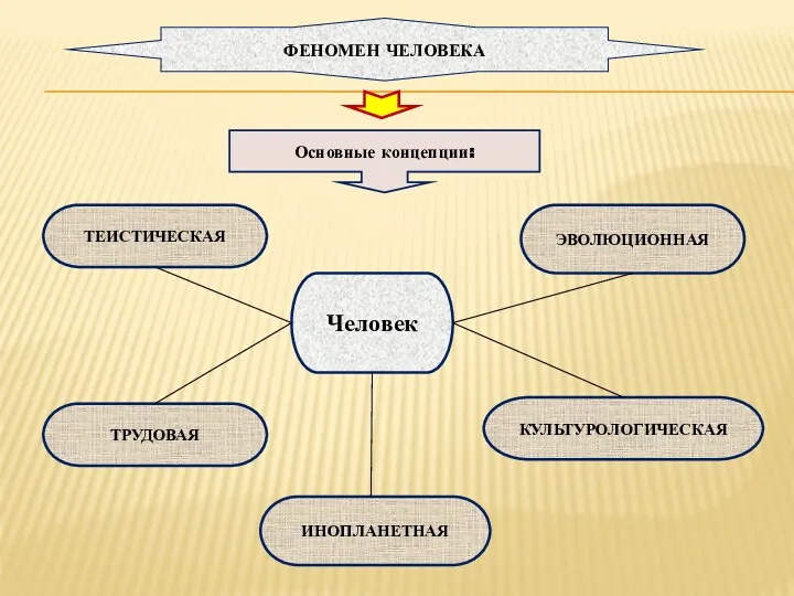 ФЕНОМЕН ЧЕЛОВЕКА Человек Основные концепции: ТЕИСТИЧЕСКАЯ ТРУДОВАЯ ЭВОЛЮЦИОННАЯ КУЛЬТУРОЛОГИЧЕСКАЯ ИНОПЛАНЕТНАЯ