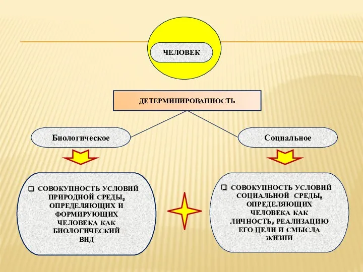 ЧЕЛОВЕК ДЕТЕРМИНИРОВАННОСТЬ СОВОКУПНОСТЬ УСЛОВИЙ ПРИРОДНОЙ СРЕДЫ, ОПРЕДЕЛЯЮЩИХ И ФОРМИРУЮЩИХ ЧЕЛОВЕКА