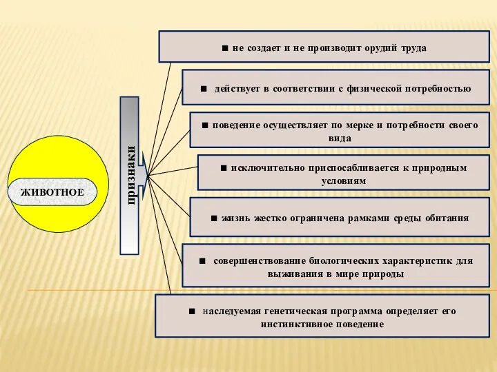 ■ не создает и не производит орудий труда ■ действует