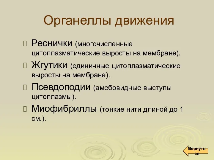 Органеллы движения Реснички (многочисленные цитоплазматические выросты на мембране). Жгутики (единичные