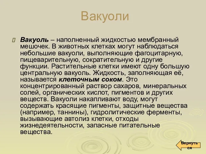 Вакуоли Вакуоль – наполненный жидкостью мембранный мешочек. В животных клетках