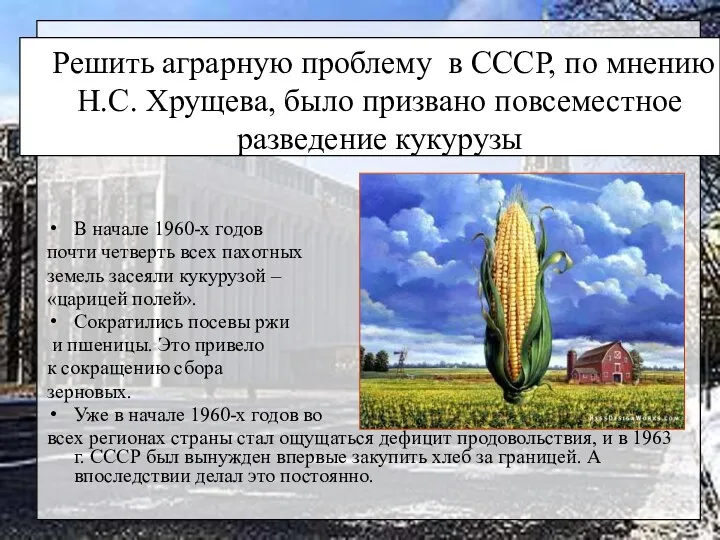 Решить аграрную проблему в СССР, по мнению Н.С. Хрущева, было