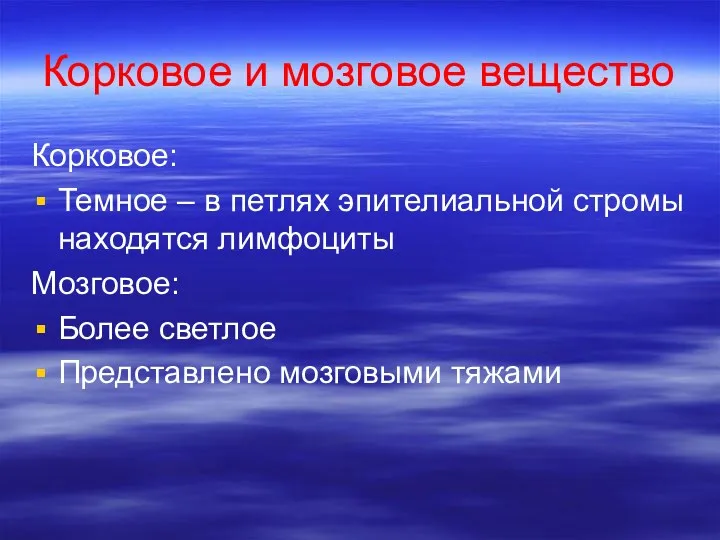 Корковое и мозговое вещество Корковое: Темное – в петлях эпителиальной