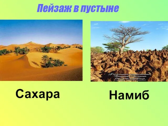 Пейзаж в пустыне Сахара Намиб