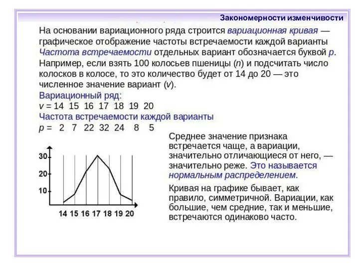 Закономерности изменчивости