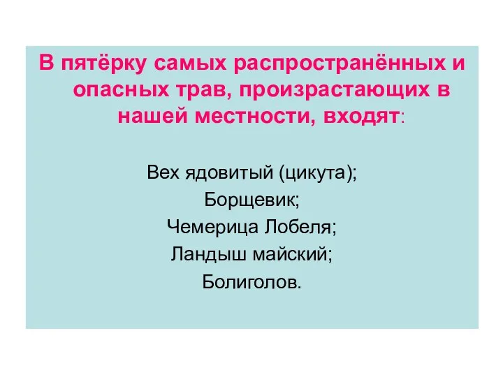 В пятёрку самых распространённых и опасных трав, произрастающих в нашей