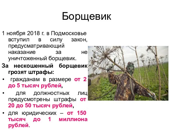 1 ноября 2018 г. в Подмосковье вступил в силу закон,