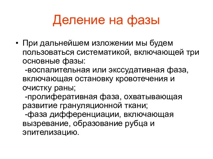 Деление на фазы При дальнейшем изложении мы будем пользоваться систематикой,