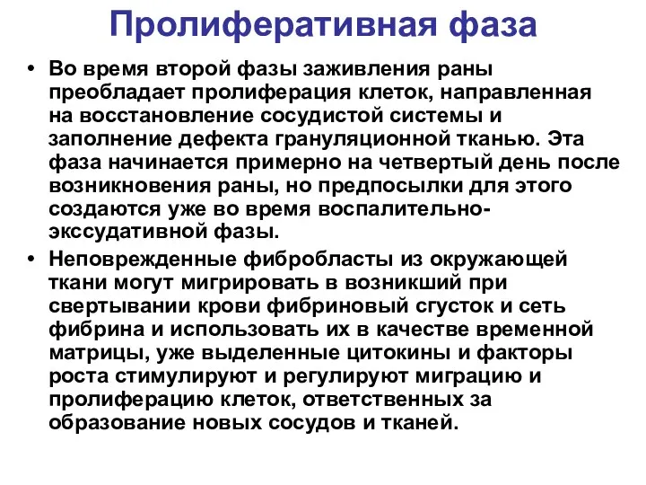 Пролиферативная фаза Во время второй фазы заживления раны преобладает пролиферация