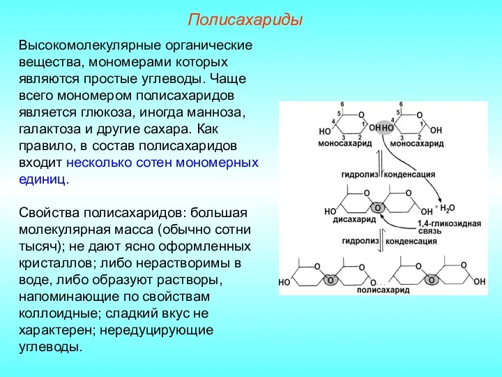 Полисахариды Высокомолекулярные органические вещества, мономерами которых являются простые углеводы. Чаще