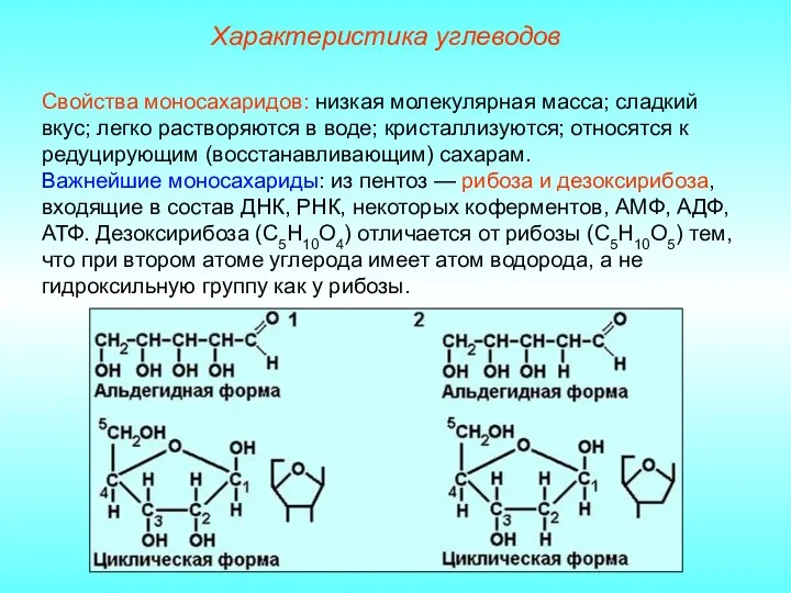 Характеристика углеводов Свойства моносахаридов: низкая молекулярная масса; сладкий вкус; легко