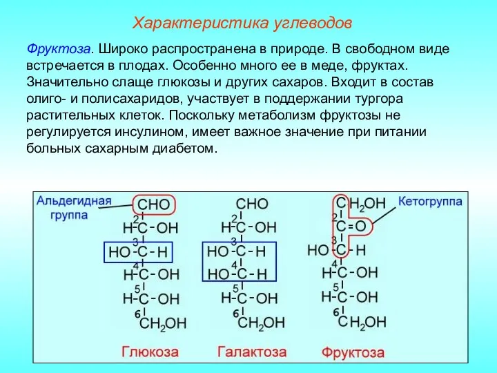 Характеристика углеводов Фруктоза. Широко распространена в природе. В свободном виде