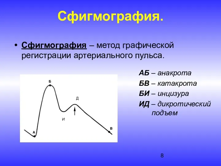 Сфигмография. Сфигмография – метод графической регистрации артериального пульса. АБ –