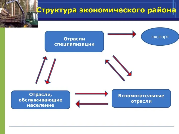 Структура экономического района Отрасли специализации экспорт Вспомогательные отрасли Отрасли, обслуживающие население