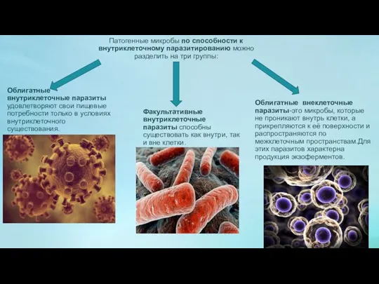 Патогенные микробы по способности к внутриклеточному паразитированию можно разделить на