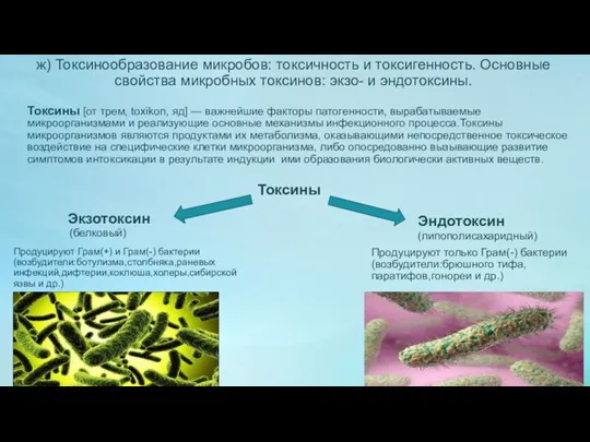 ж) Токсинообразование микробов: токсичность и токсигенность. Основные свойства микробных токсинов: экзо- и эндотоксины.