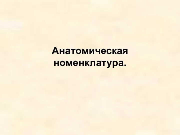 Анатомическая номенклатура.