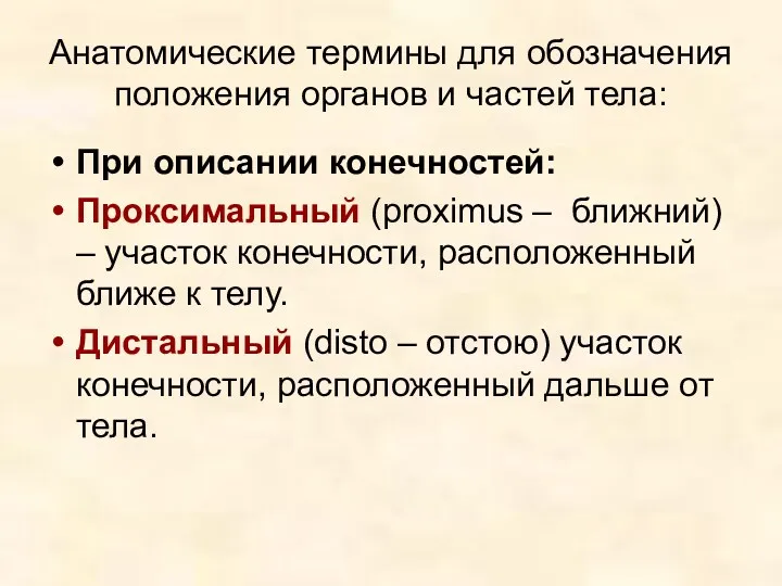 Анатомические термины для обозначения положения органов и частей тела: При