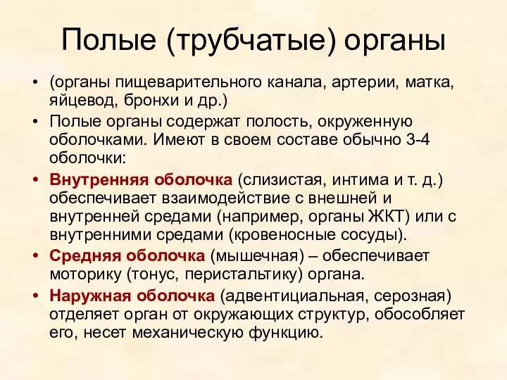 Полые (трубчатые) органы (органы пищеварительного канала, артерии, матка, яйцевод, бронхи