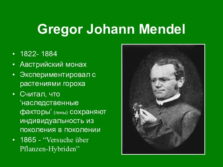 Gregor Johann Mendel 1822- 1884 Австрийский монах Экспериментировал с растениями гороха Считал, что