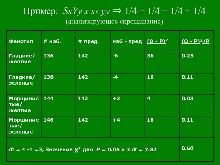 Пример: SsYy x ss yy ⇒ 1/4 + 1/4 + 1/4 + 1/4 (анализирующее скрещивание)