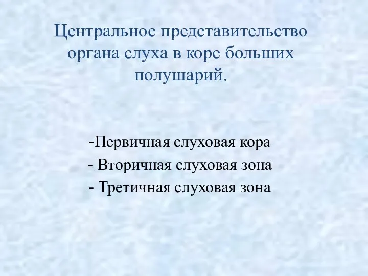 Центральное представительство органа слуха в коре больших полушарий. Первичная слуховая