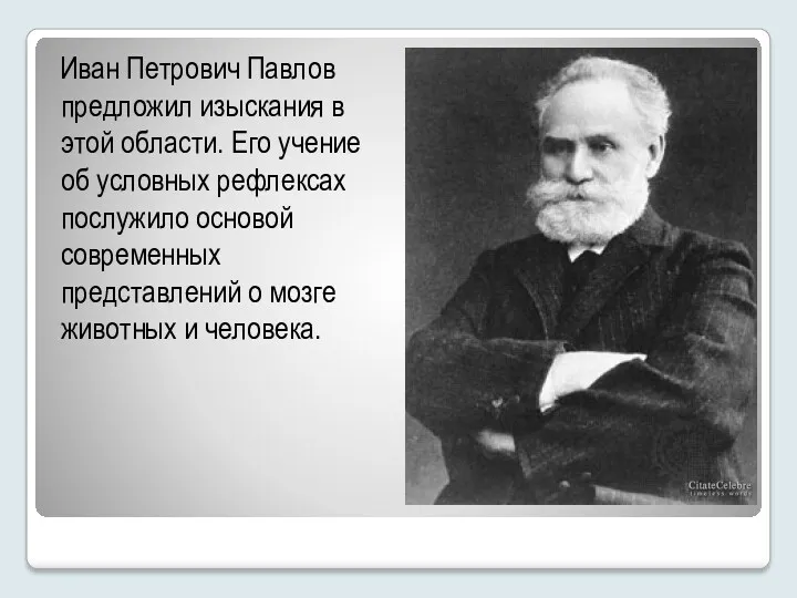 Иван Петрович Павлов предложил изыскания в этой области. Его учение