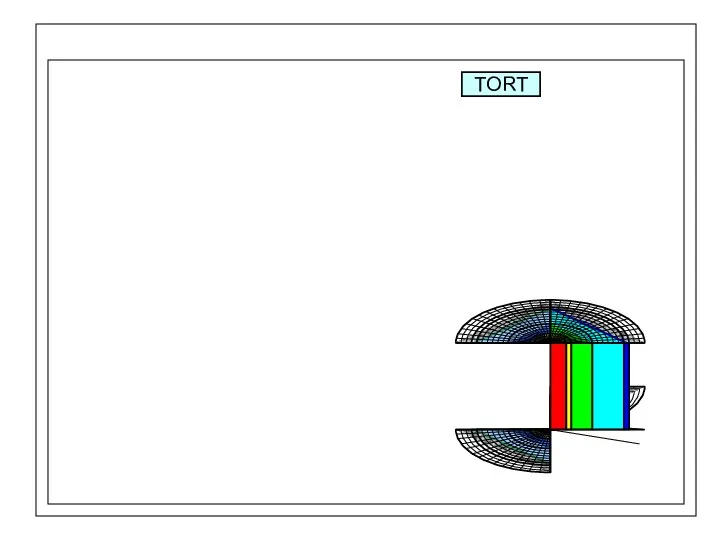 TORT TORSET DORT Вторичный TORT Geometries принята 1-, 2- и 3-ДСN коды