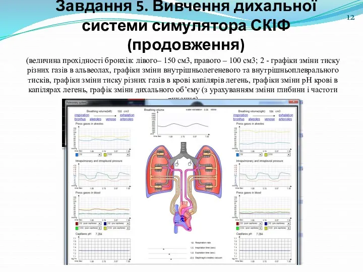 Завдання 5. Вивчення дихальної системи симулятора СКІФ (продовження) (величина прохідності бронхів: лівого– 150