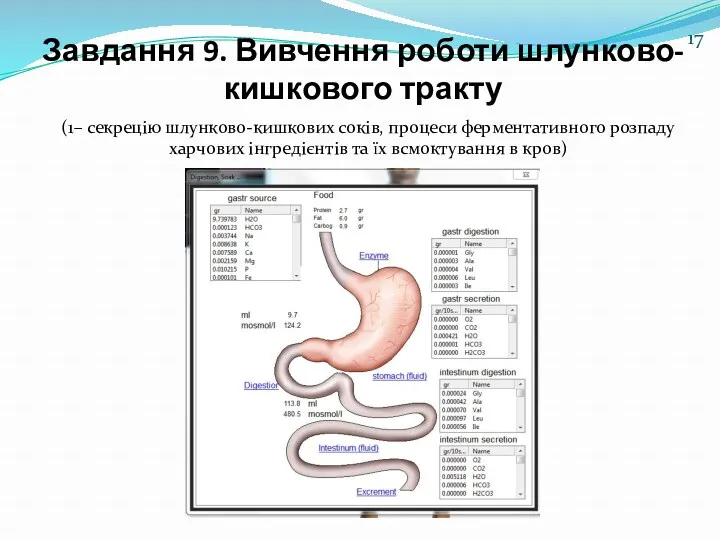 Завдання 9. Вивчення роботи шлунково-кишкового тракту (1– секрецію шлунково-кишкових соків, процеси ферментативного розпаду