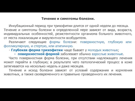 Течение и симптомы болезни. Инкубационный период при трихофитии длится от одной недели до