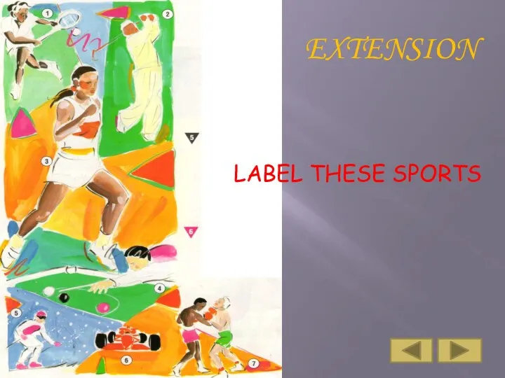 LABEL THESE SPORTS EXTENSION