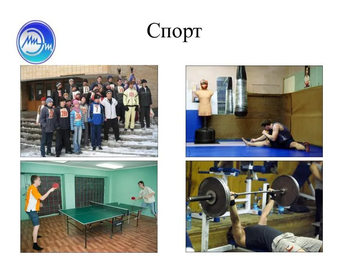 Спорт