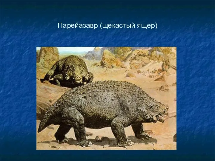 Парейазавр (щекастый ящер)