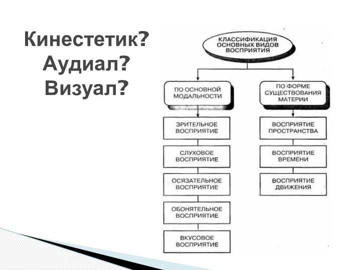 Кинестетик? Аудиал? Визуал?