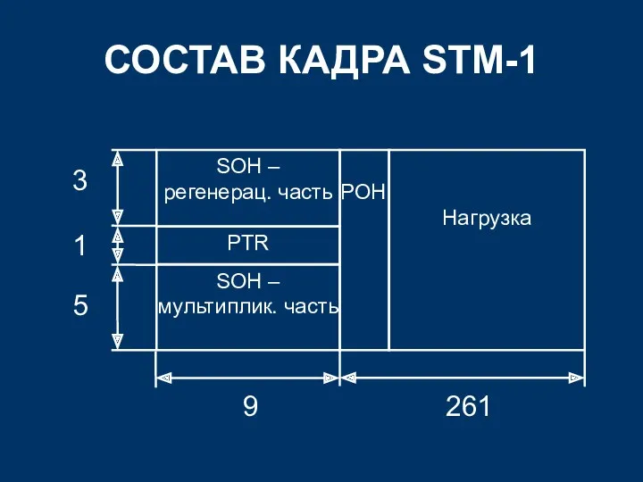 СОСТАВ КАДРА STM-1