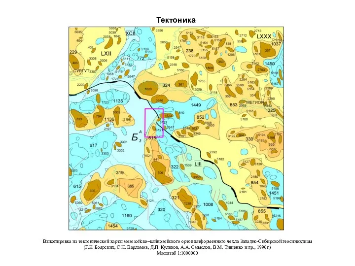Тектоника Выкопировка из тектонической карты мезозойско–кайнозойского ортоплатформенного чехла Западно-Сибирской геосинеклизы