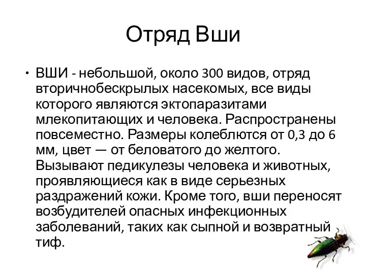 Отряд Вши ВШИ - небольшой, около 300 видов, отряд вторичнобескрылых