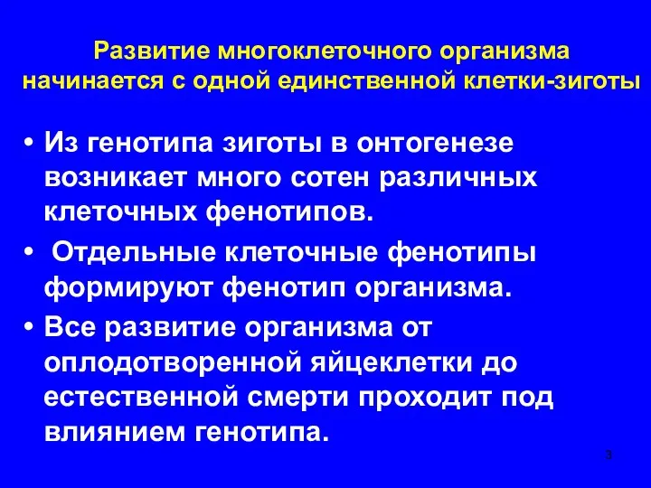 Развитие многоклеточного организма начинается с одной единственной клетки-зиготы Из генотипа