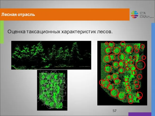 Лесная отрасль Оценка таксационных характеристик лесов.