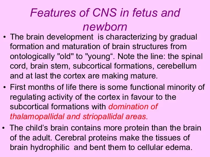 Features of CNS in fetus and newborn The brain development