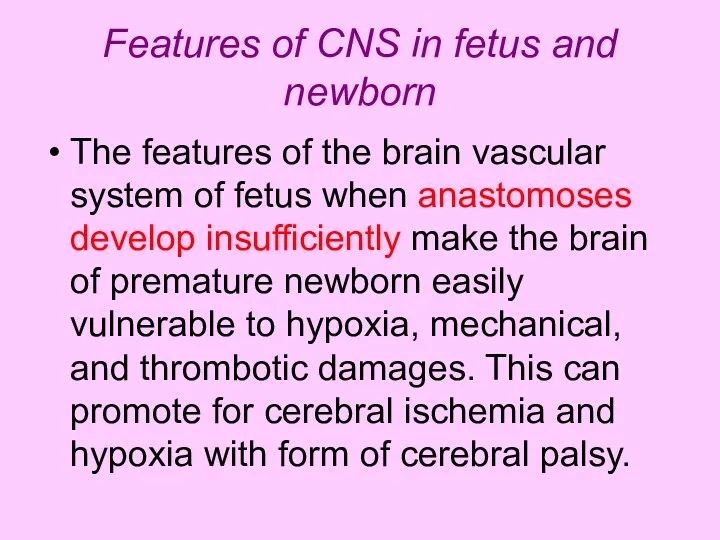 Features of CNS in fetus and newborn The features of