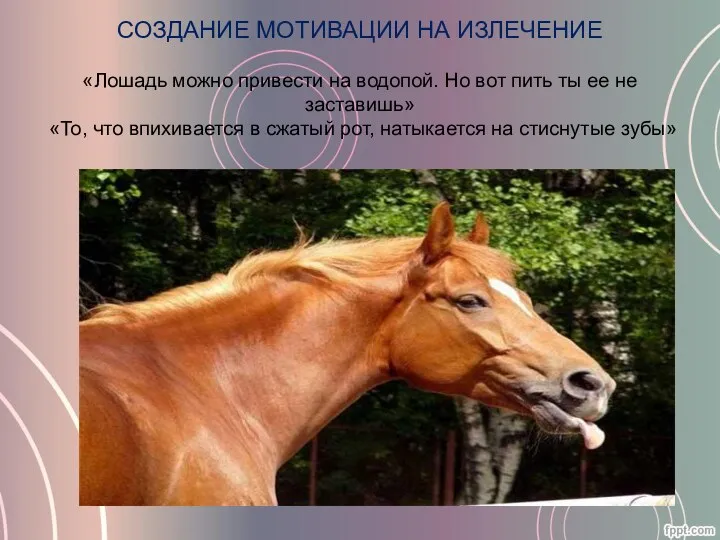 СОЗДАНИЕ МОТИВАЦИИ НА ИЗЛЕЧЕНИЕ «Лошадь можно привести на водопой. Но