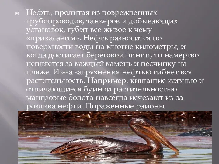 Нефть, пролитая из поврежденных трубопроводов, танкеров и добывающих установок, губит