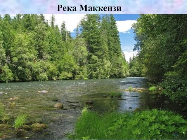 Река Маккензи