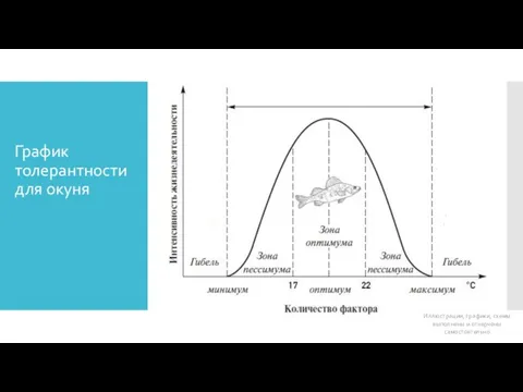 График толерантности для окуня Иллюстрации, графики, схемы выполнены и отчерчены самостоятельно