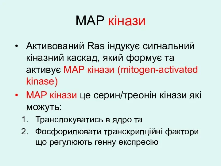 MAP кінази Активований Ras індукує сигнальний кіназний каскад, який формує