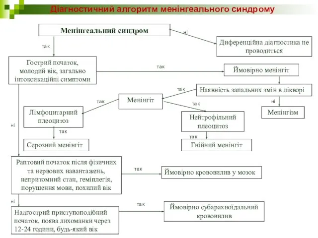 Діагностичний алгоритм менінгеального синдрому Менінгеальний синдром Диференційна діагностика не проводиться