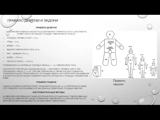 ПРАВИЛО ДЕВЯТКИ И ЛАДОНИ ПРАВИЛО ДЕВЯТКИ ПОВЕРХНОСТИ РАЗНЫХ ЧАСТЕЙ ТЕЛА СОСТАВЛЯЮТ ПРИМЕРНО ПО